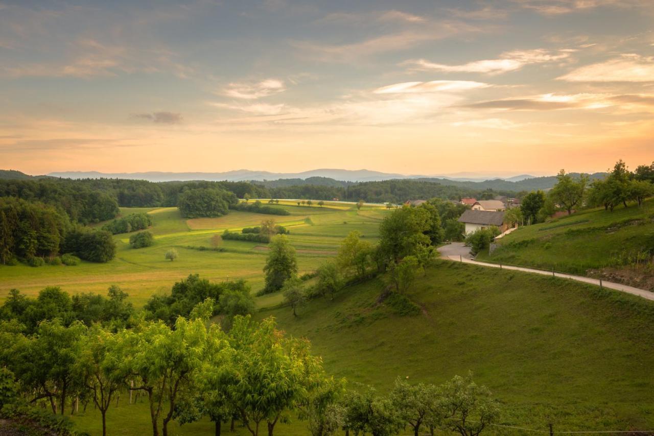 Vineyard Cottage Krivic Trebelno ภายนอก รูปภาพ