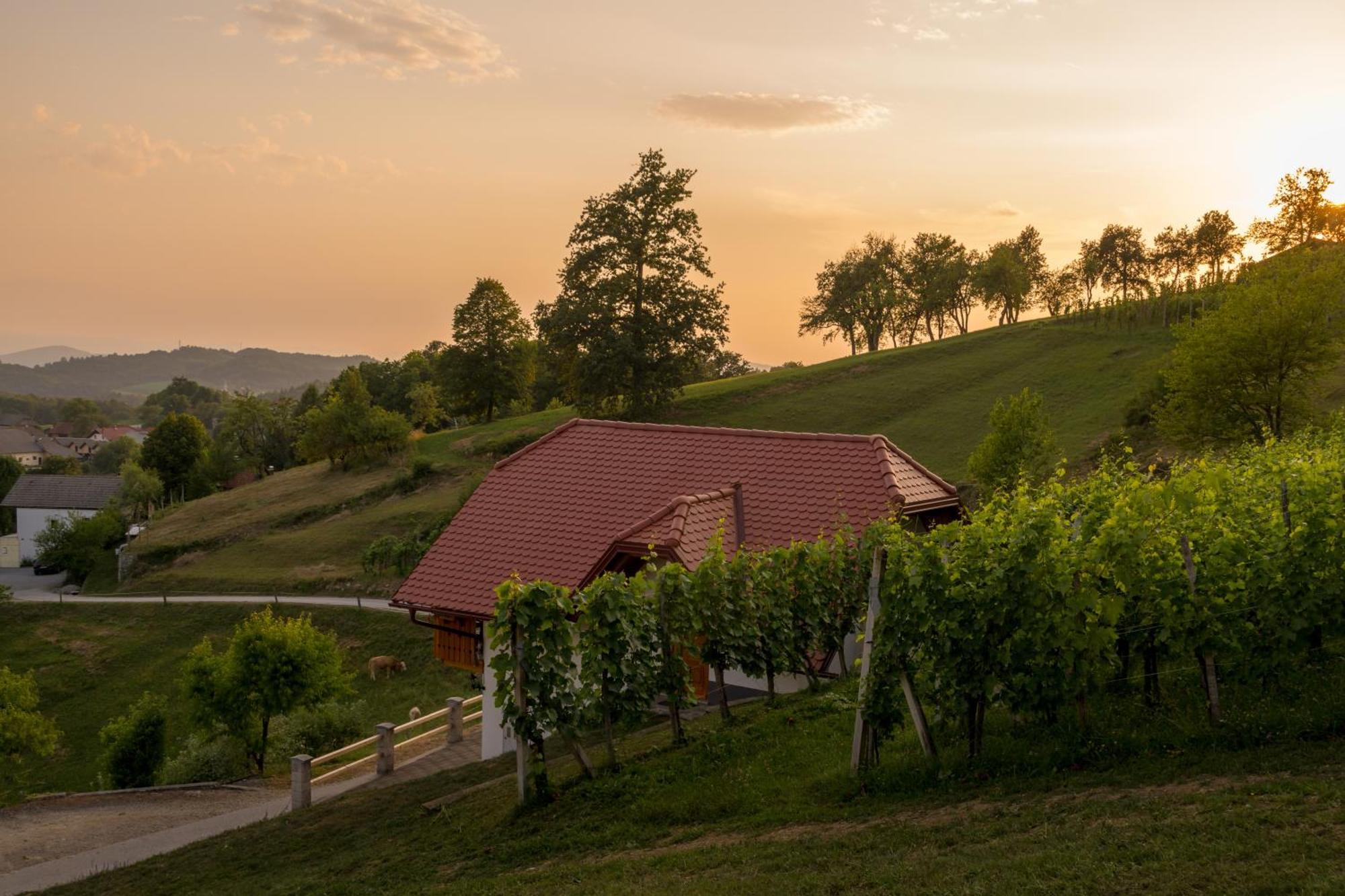 Vineyard Cottage Krivic Trebelno ภายนอก รูปภาพ