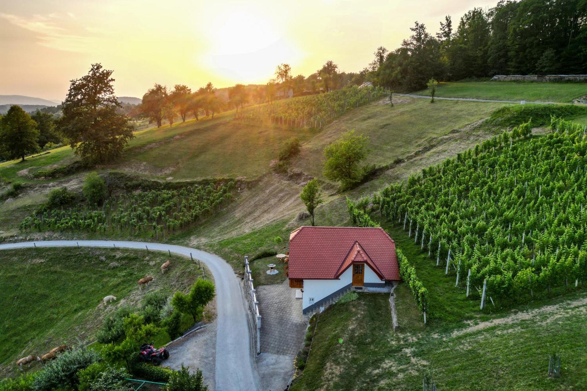 Vineyard Cottage Krivic Trebelno ภายนอก รูปภาพ